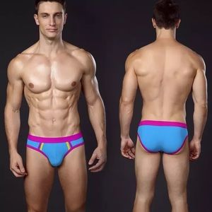 Low Waist Sexy Men's Underwear Fashion Briefs